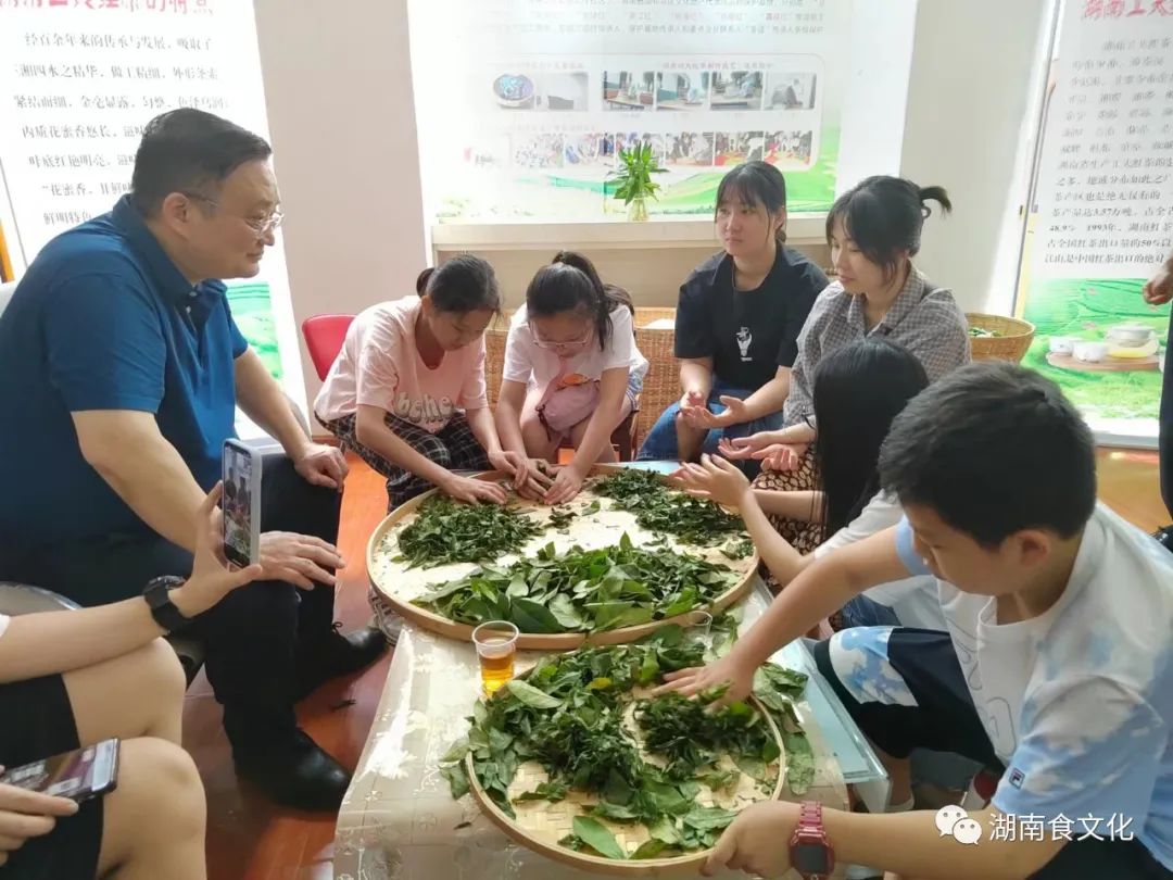原載人民日報“人民視點”茶葉是怎樣做出來的？湖南大、中、小學生體驗湖南工夫紅茶制作